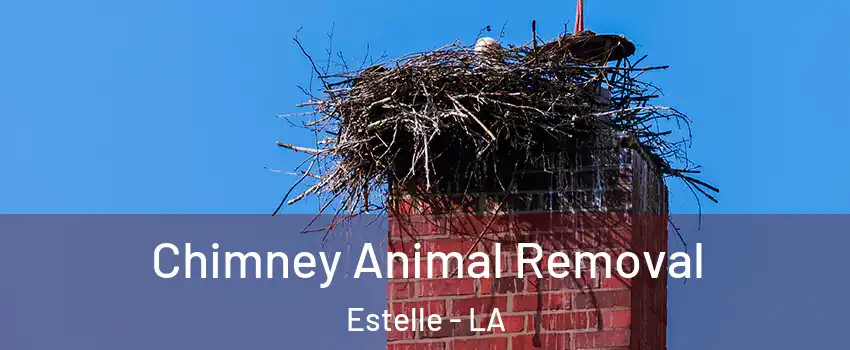 Chimney Animal Removal Estelle - LA