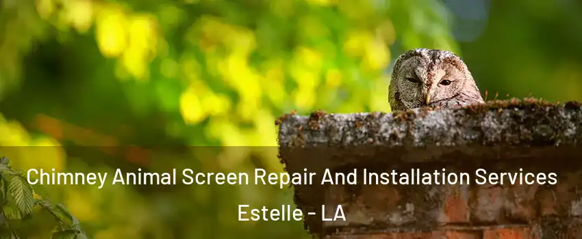 Chimney Animal Screen Repair And Installation Services Estelle - LA