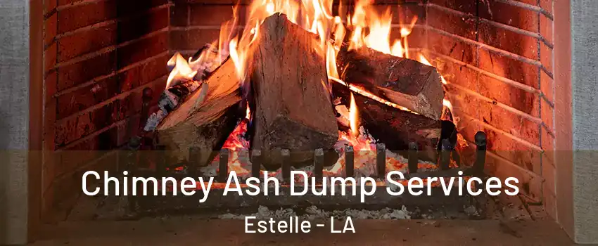  Chimney Ash Dump Services Estelle - LA