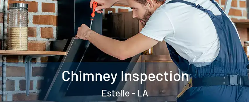 Chimney Inspection Estelle - LA