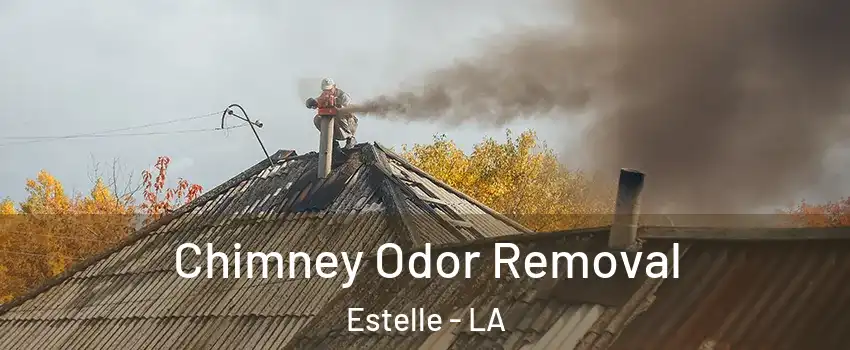 Chimney Odor Removal Estelle - LA