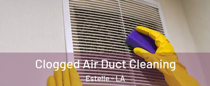  Clogged Air Duct Cleaning Estelle - LA