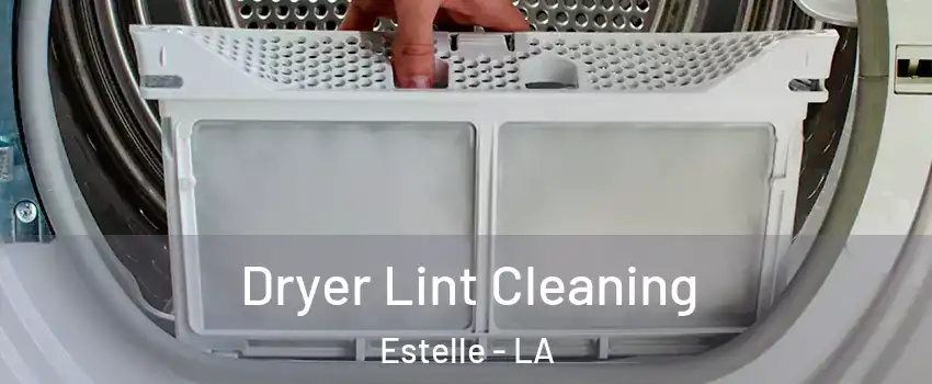  Dryer Lint Cleaning Estelle - LA