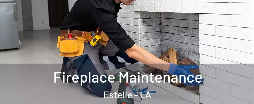  Fireplace Maintenance Estelle - LA