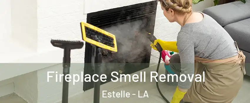  Fireplace Smell Removal Estelle - LA