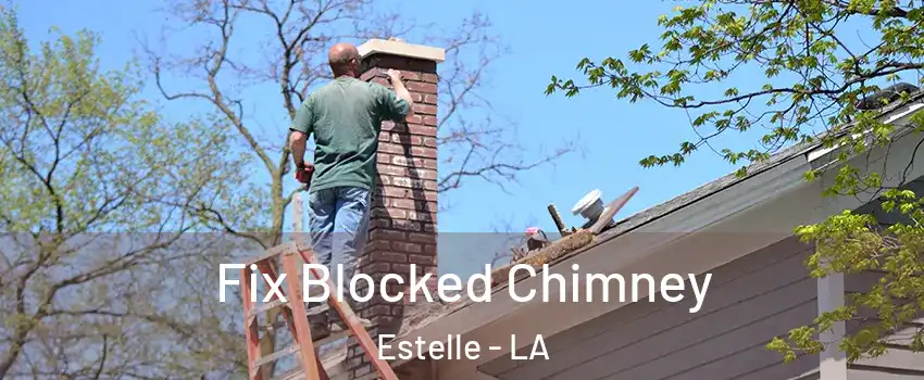  Fix Blocked Chimney Estelle - LA