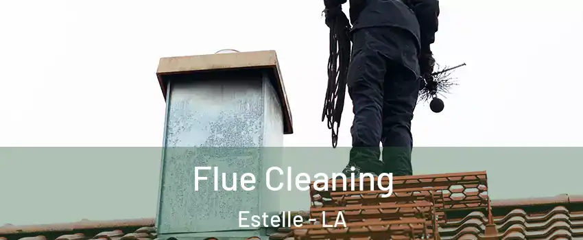  Flue Cleaning Estelle - LA