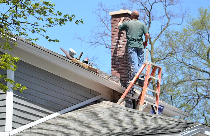 Chimney & Fireplace Inspections Services in Estelle, LA