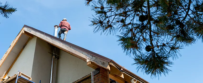 Birds Removal Contractors from Chimney in Estelle, LA
