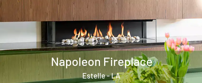  Napoleon Fireplace Estelle - LA
